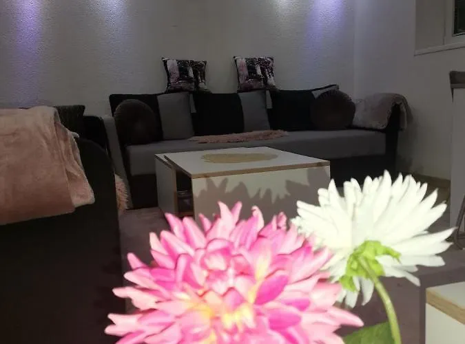 Sladak Kao Med - Centar - Near The Red Carpet Film Festival *